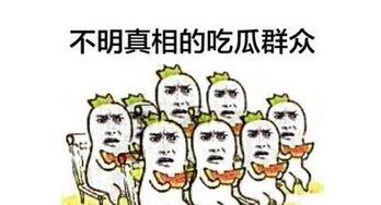 吃瓜群众还在等吗,揭秘悬念揭晓时刻