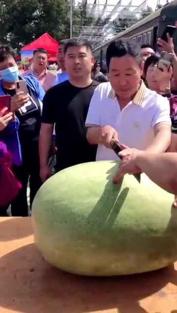 吃瓜群众感悟多,人间百态，笑谈风云