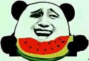 吃瓜群众不挑瓜的意思是什么,揭秘大众口味背后的包容与多元