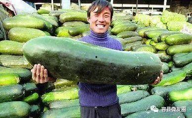 群众人到中年吃瓜视频,揭秘群众生活百态