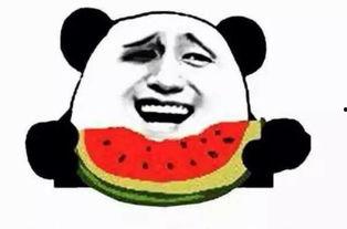 吃瓜群众小白子,揭秘娱乐圈幕后故事