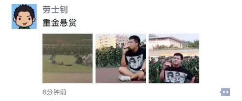 在线吃瓜群众怎么回复你,如何巧妙回复，成为社交达人