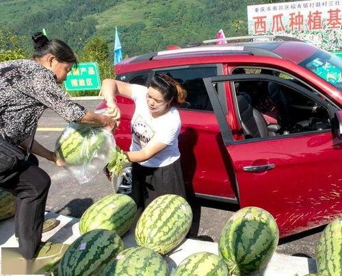 吃瓜群众怎么进货,轻松掌握市场选品技巧