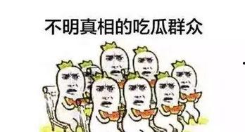每天吃瓜群众的日常,吃瓜群众的欢乐日常