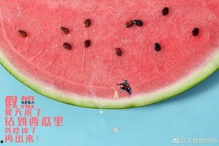 战斗力吃瓜群众,揭秘网络舆论场的力量与影响